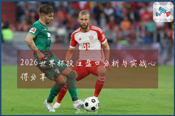 2026世界杯投注盘口分析与实战心得分享