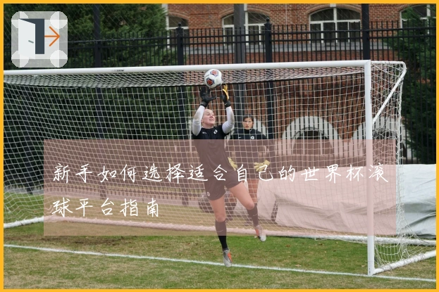 新手如何选择适合自己的世界杯滚球平台指南