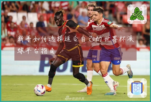新手如何选择适合自己的世界杯滚球平台指南