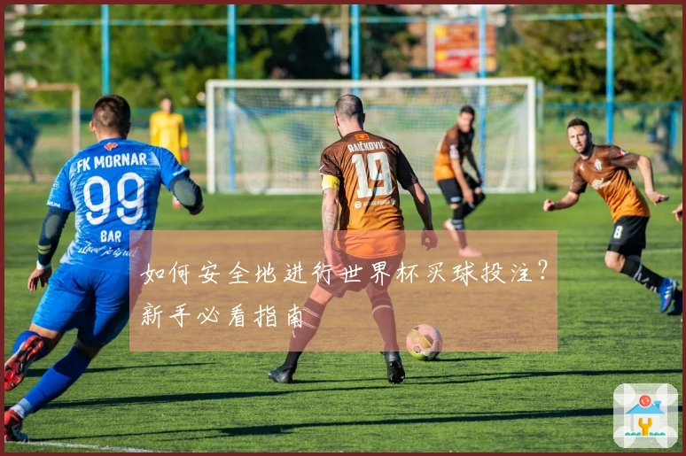 如何安全地进行世界杯买球投注？新手必看指南