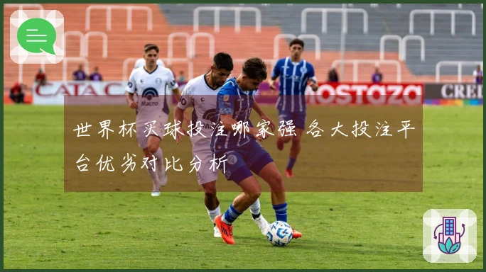 世界杯买球投注哪家强 各大投注平台优劣对比分析