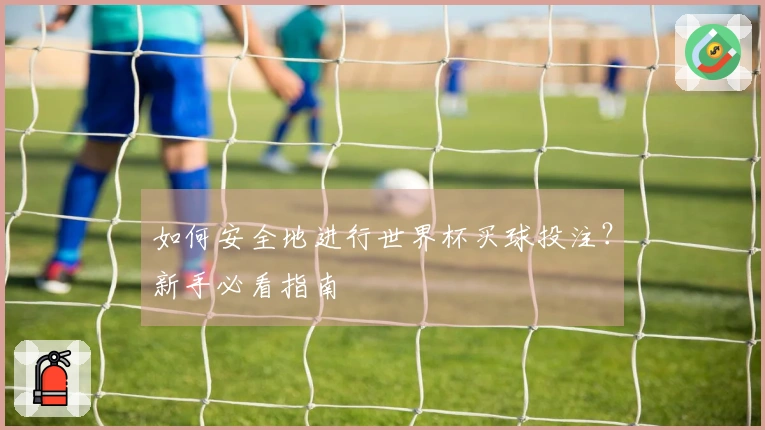 如何安全地进行世界杯买球投注？新手必看指南