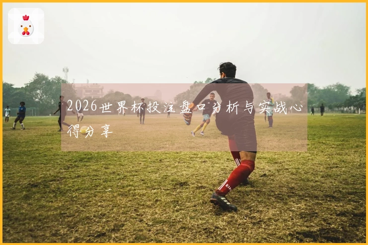 2026世界杯投注盘口分析与实战心得分享