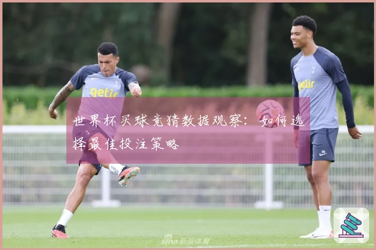 世界杯买球竞猜数据观察：如何选择最佳投注策略