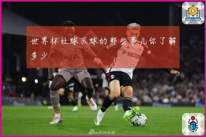 世界杯让球买球的那些事儿你了解多少